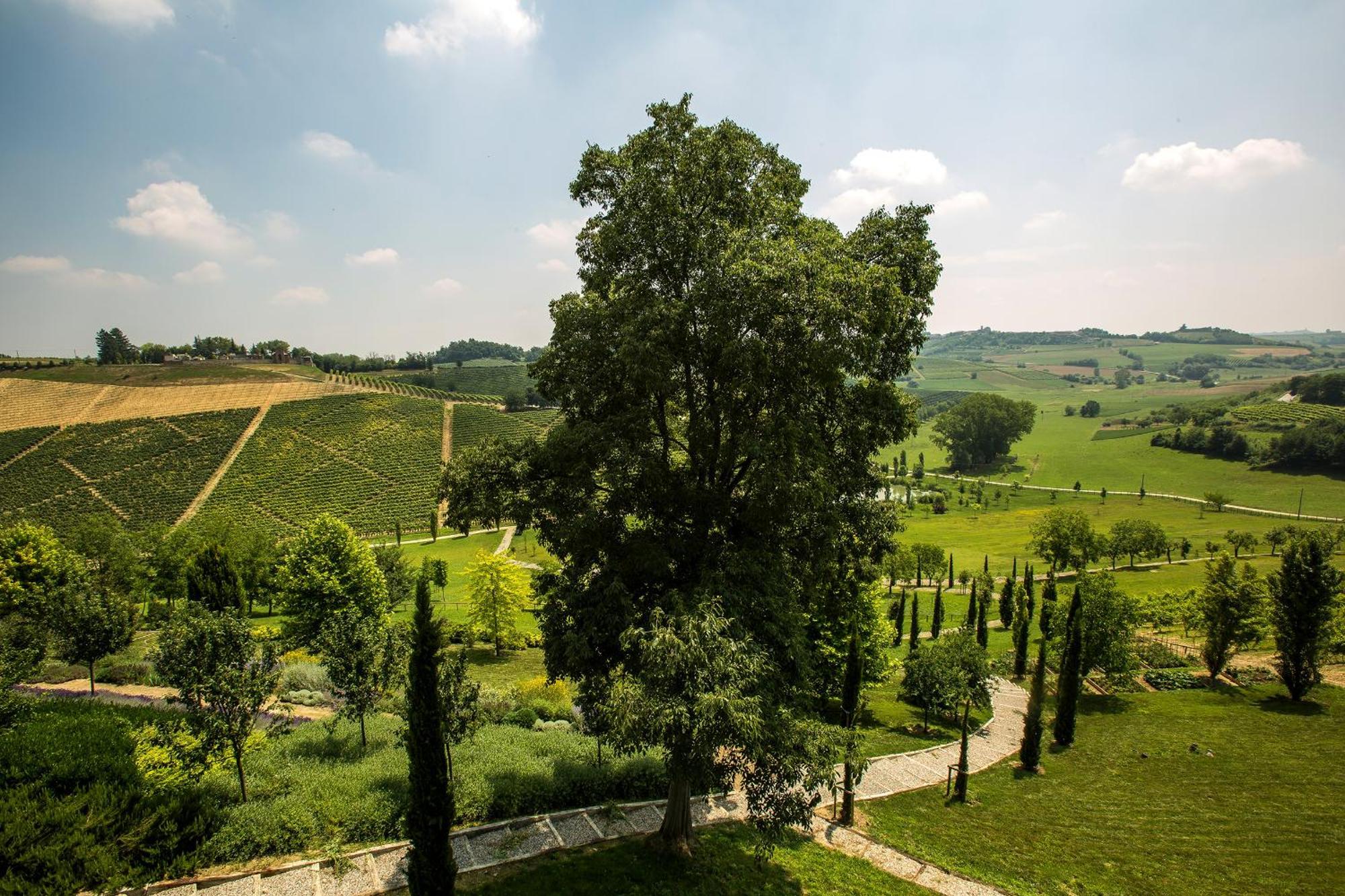 Grazzano Badoglio Relais Di Tenuta Santa Caterina B&B חדר תמונה