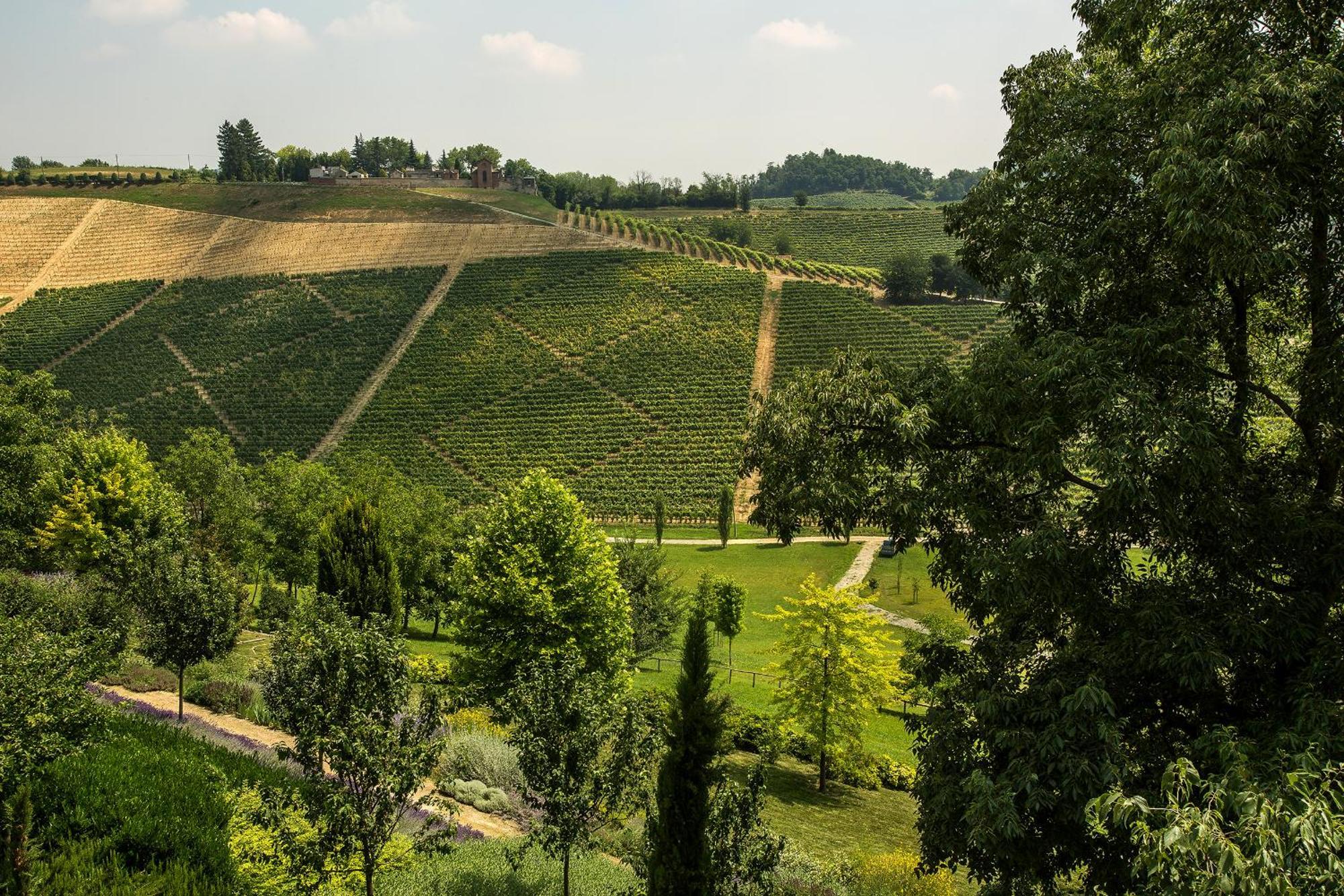 Grazzano Badoglio Relais Di Tenuta Santa Caterina B&B חדר תמונה